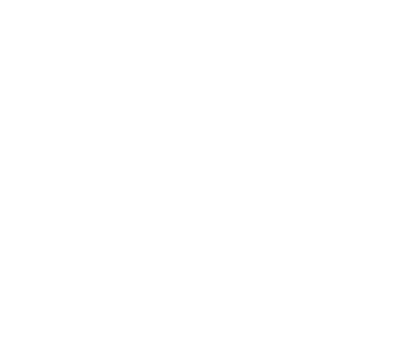 SATECH Client 03
