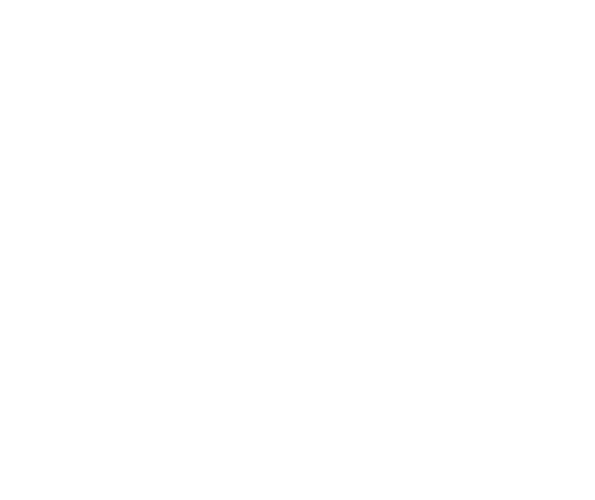 SATECH Client 06