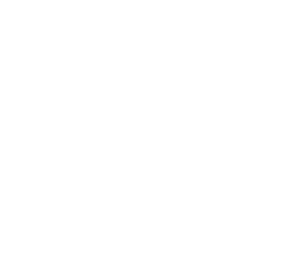 SATECH Client 09