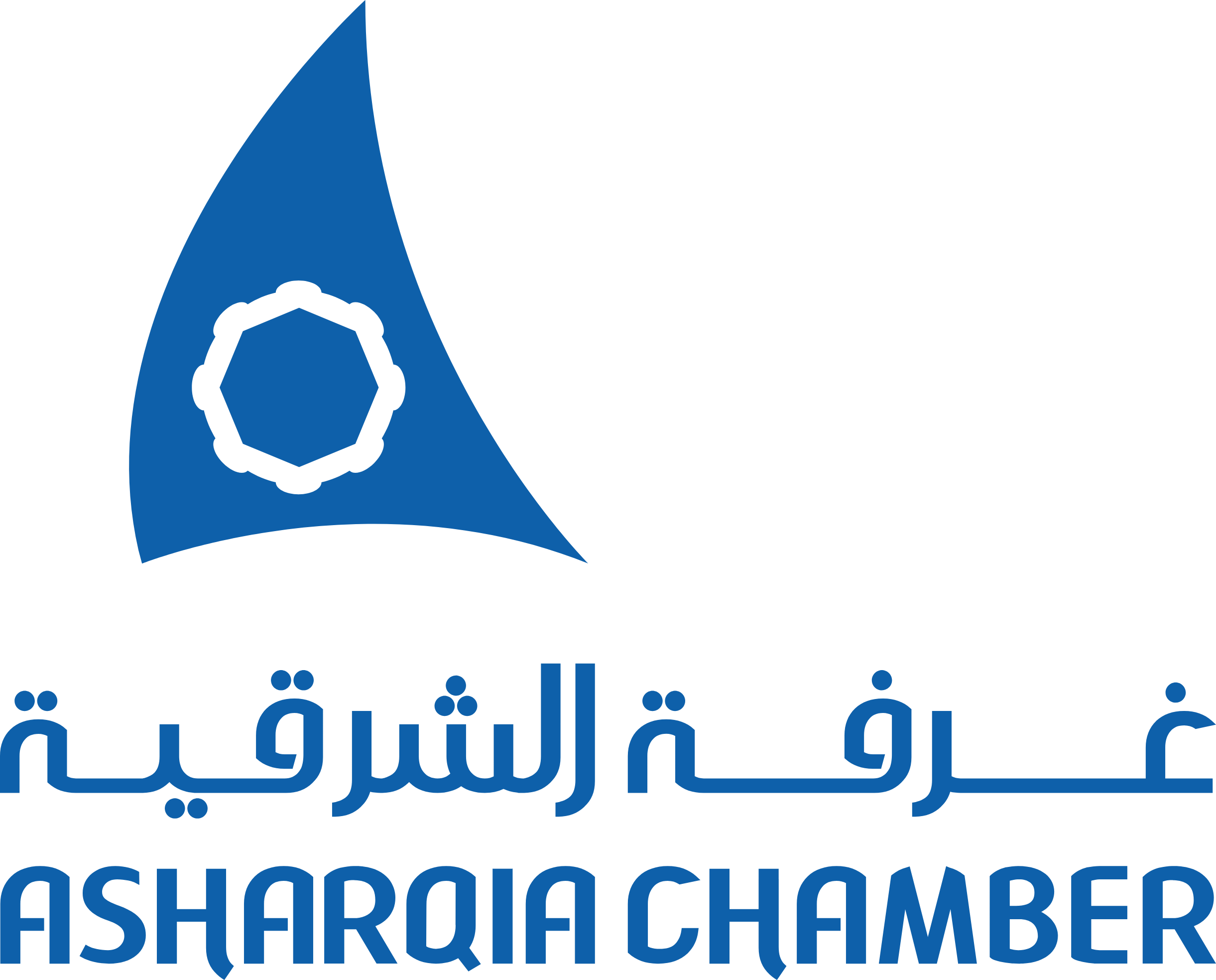 SATECH Client 09